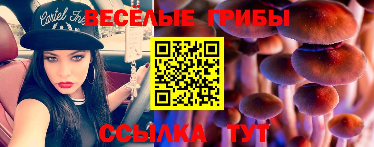 Джанкой  как найти закладки  Вход с VPN  Псилоцибиновые грибы мухоморы 